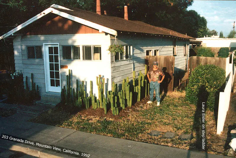 Verne’s Cactus Kate Collection