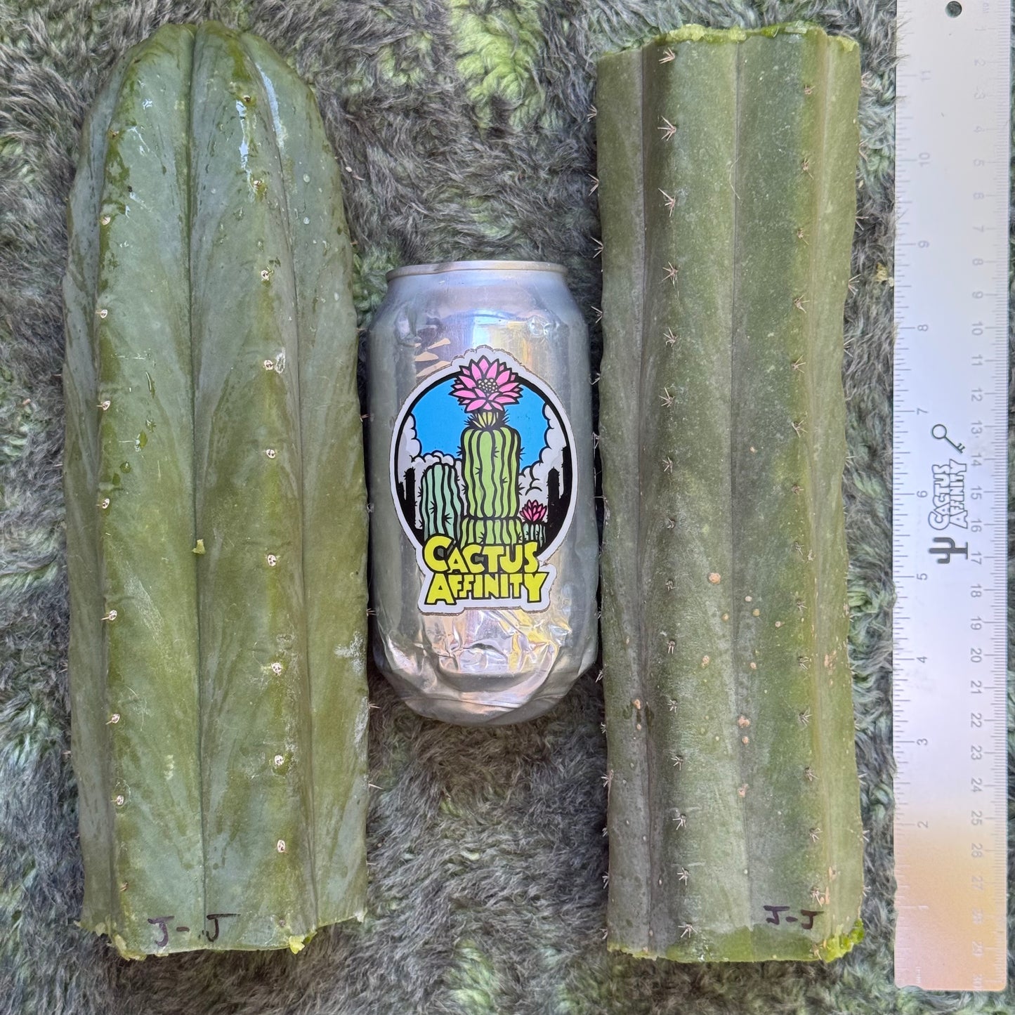 Jiimz J’s Giant