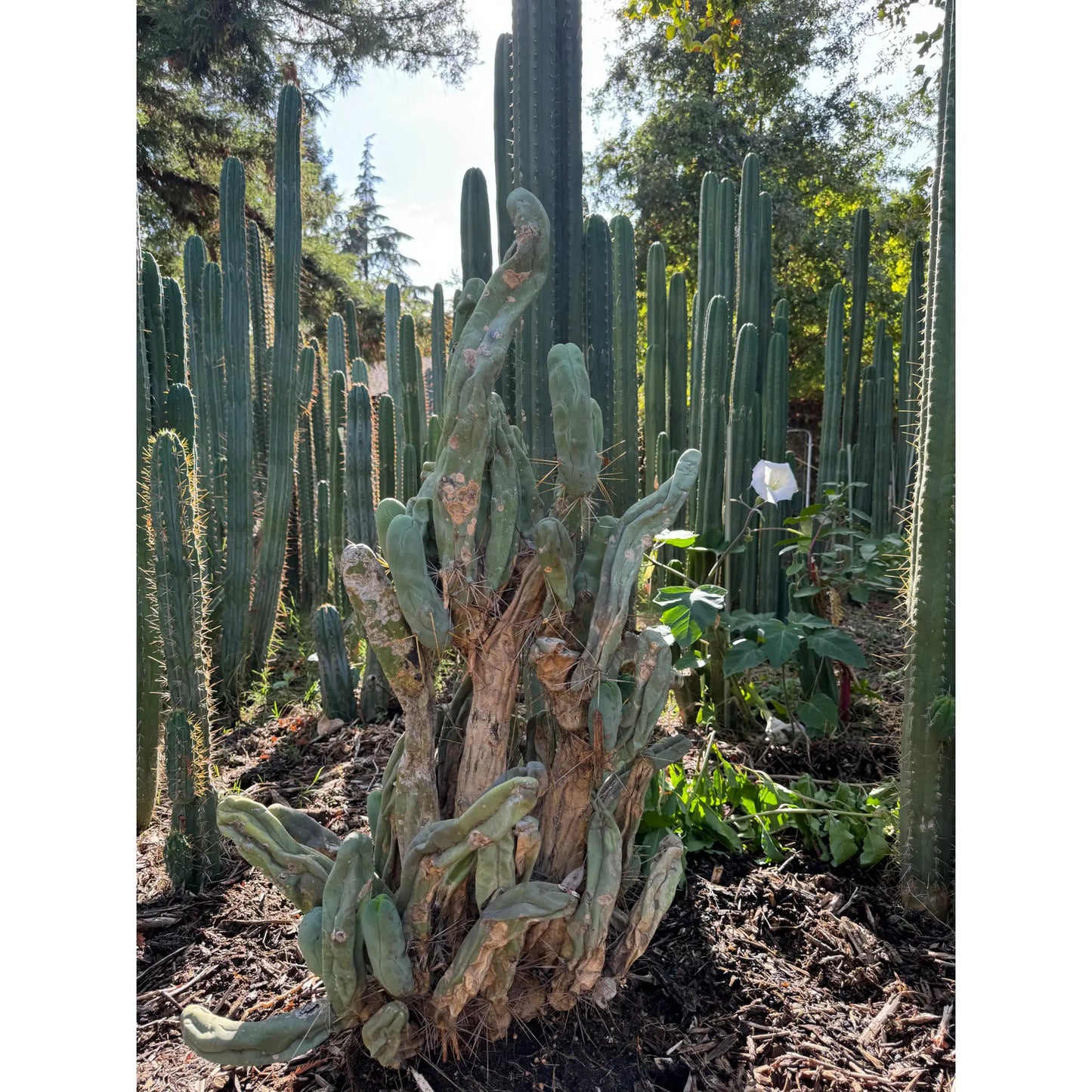 9/18/24