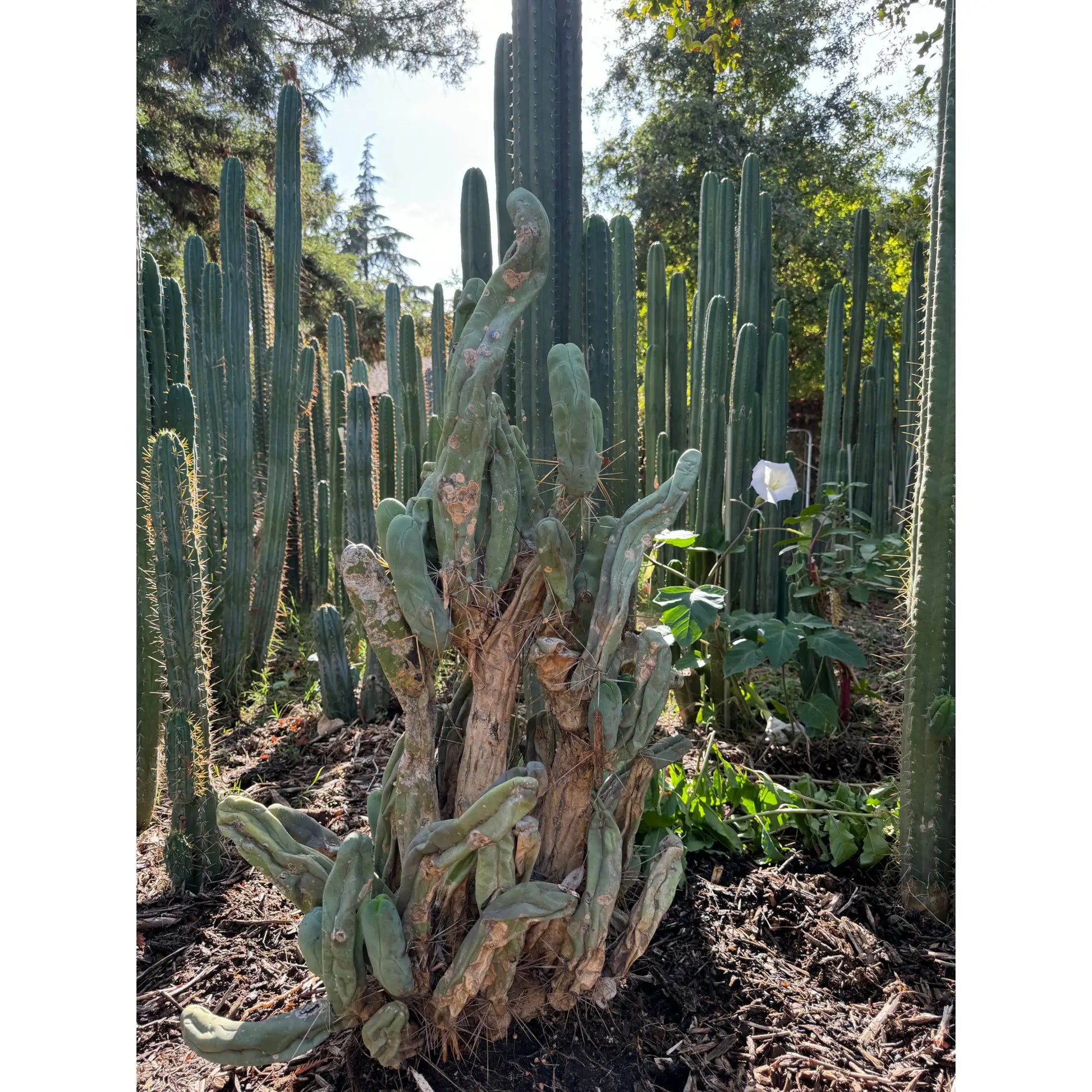 9/18/24
