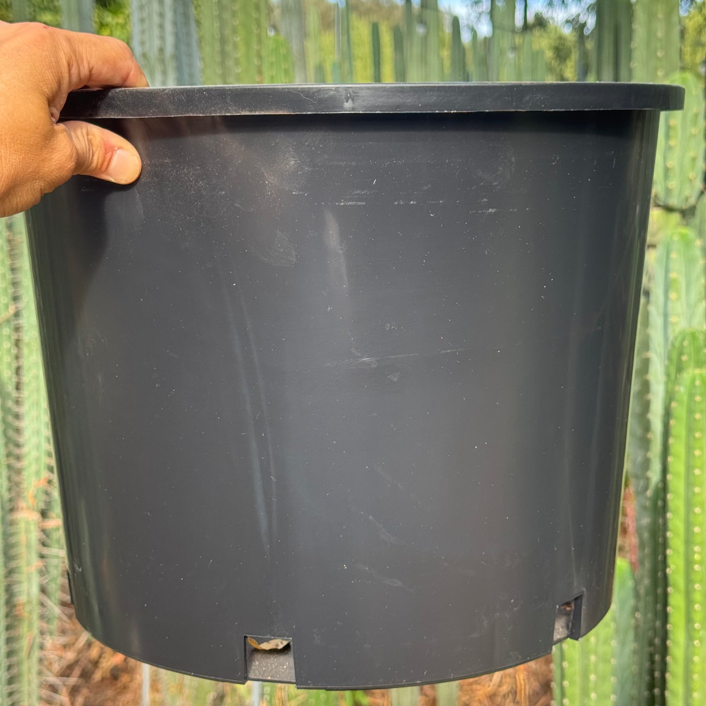 empty pots - local pickup