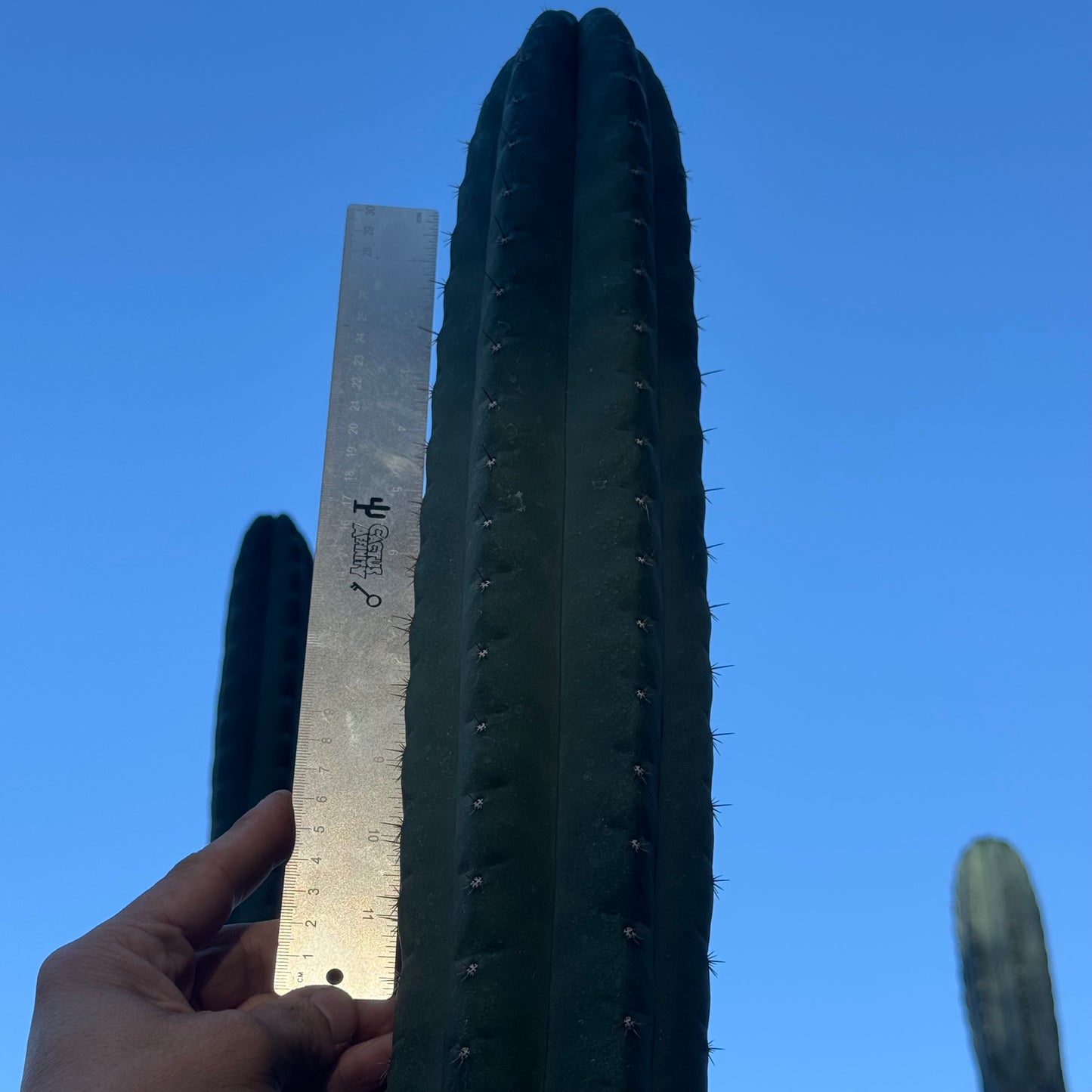 JS350b - local pickup