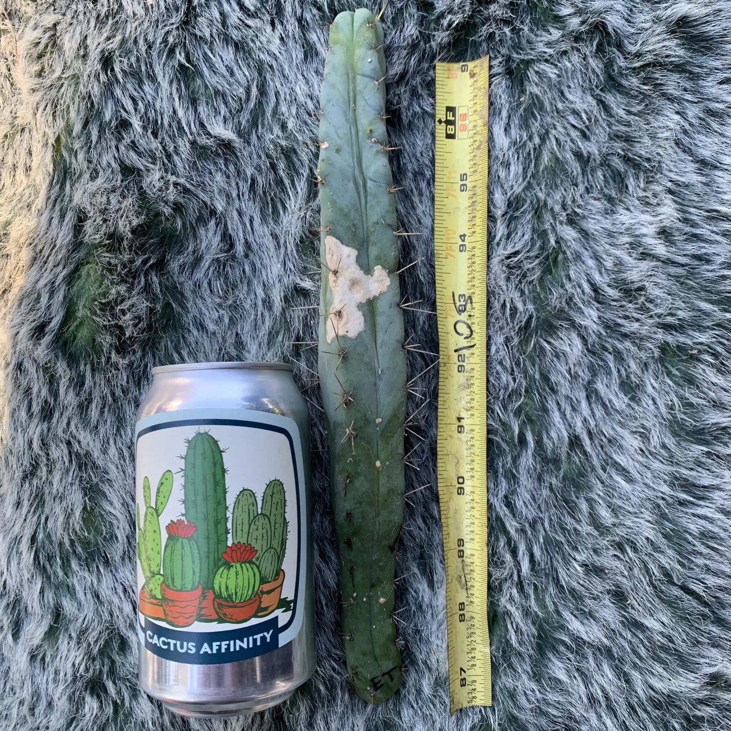 ET - 10” tip cut