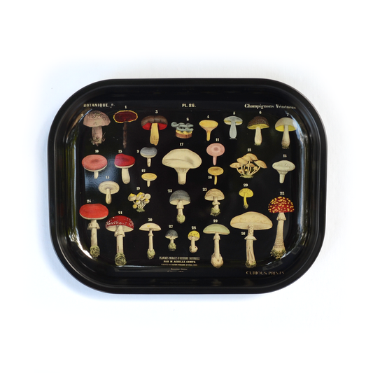 Metal Black Mushroom Ritual Tray / Vintage Fungi Print