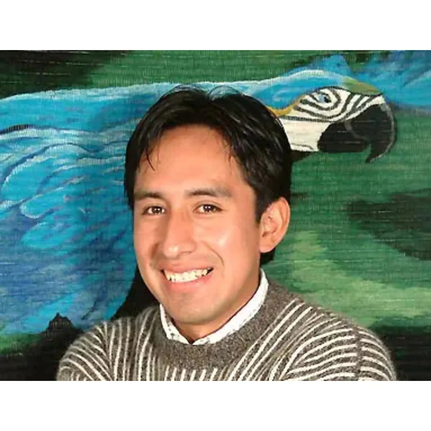 Andean Steps - handwoven wool tapestry - Art