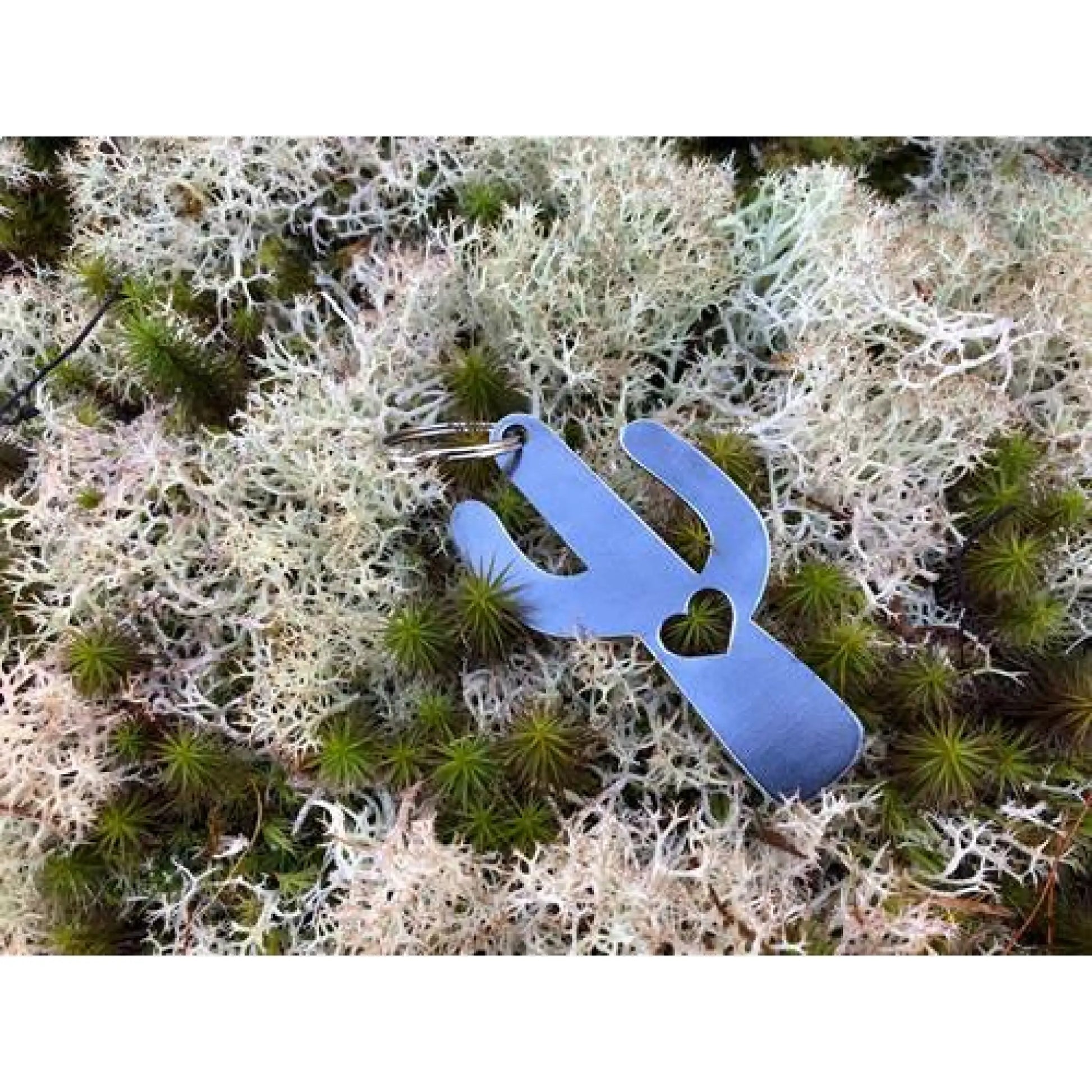 Cactus Key Chain w/ Heart - Keychain