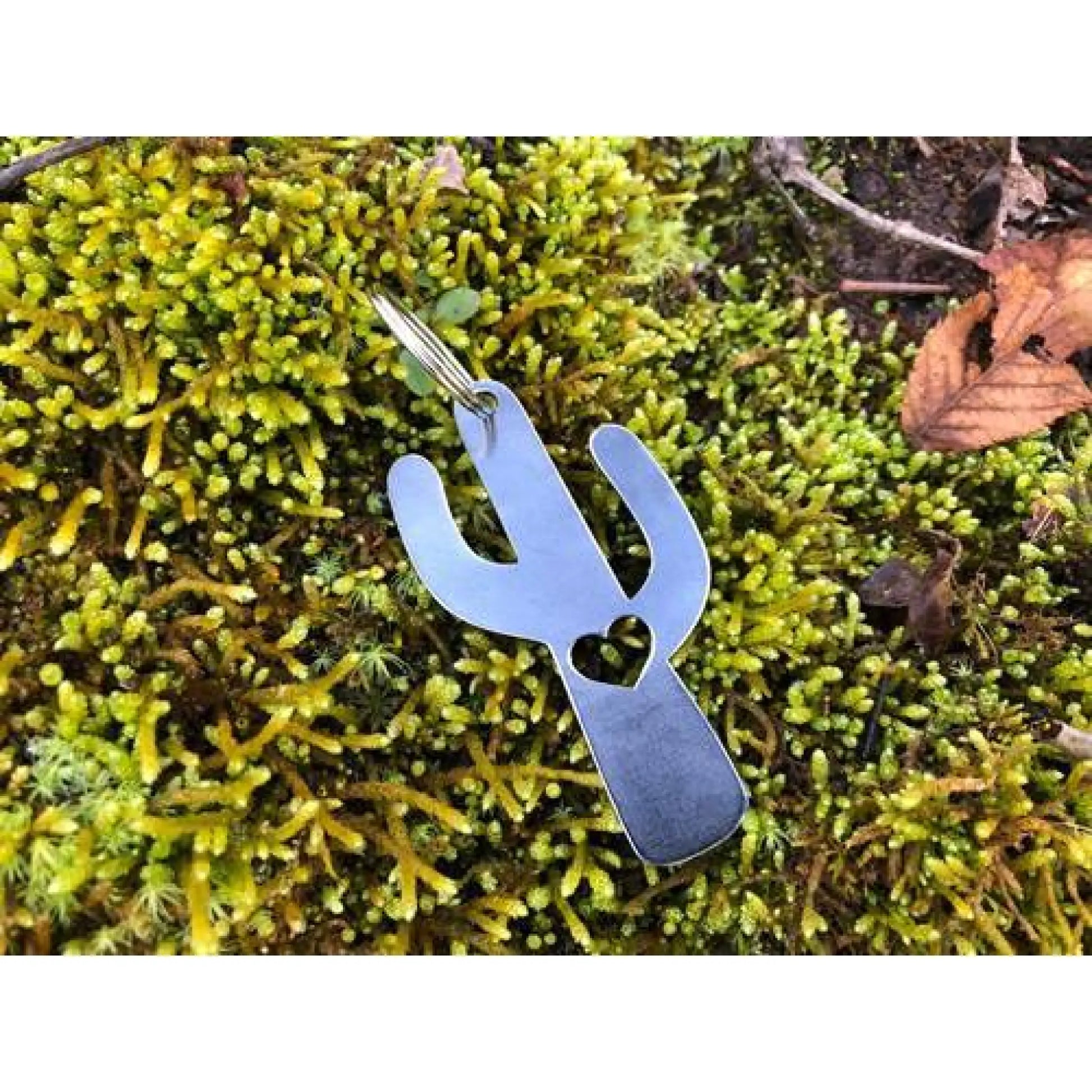 Cactus Key Chain w/ Heart - Keychain