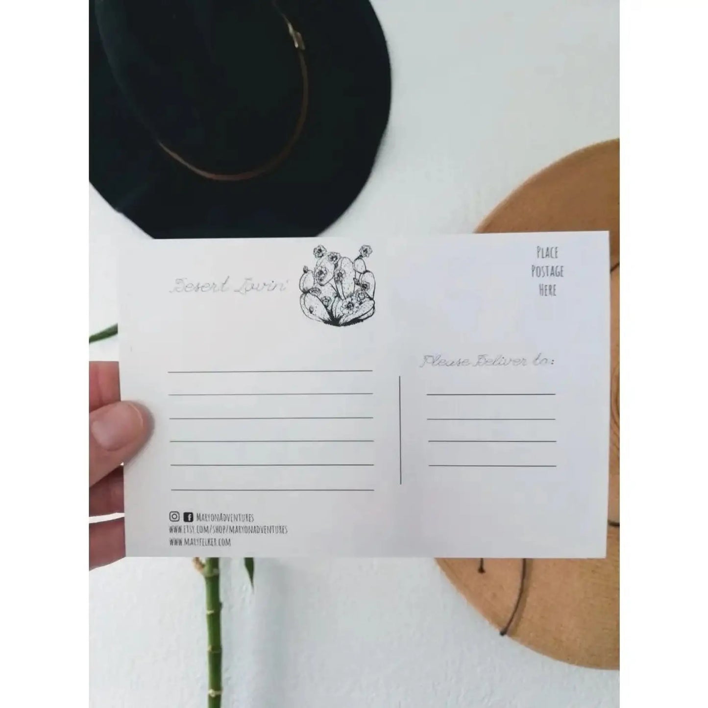 Cactus Senita Art Prints