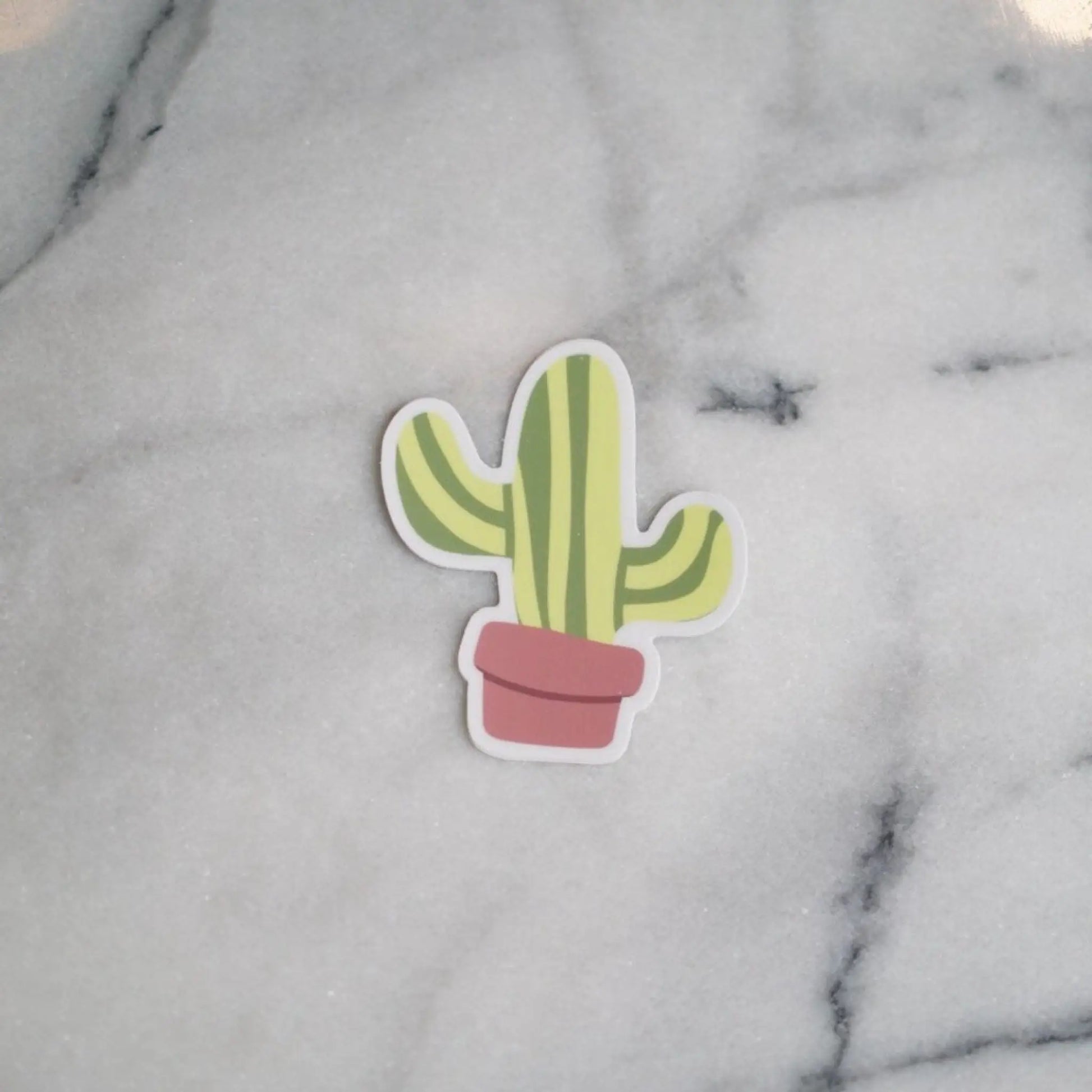 Cactus sticker - Sticker