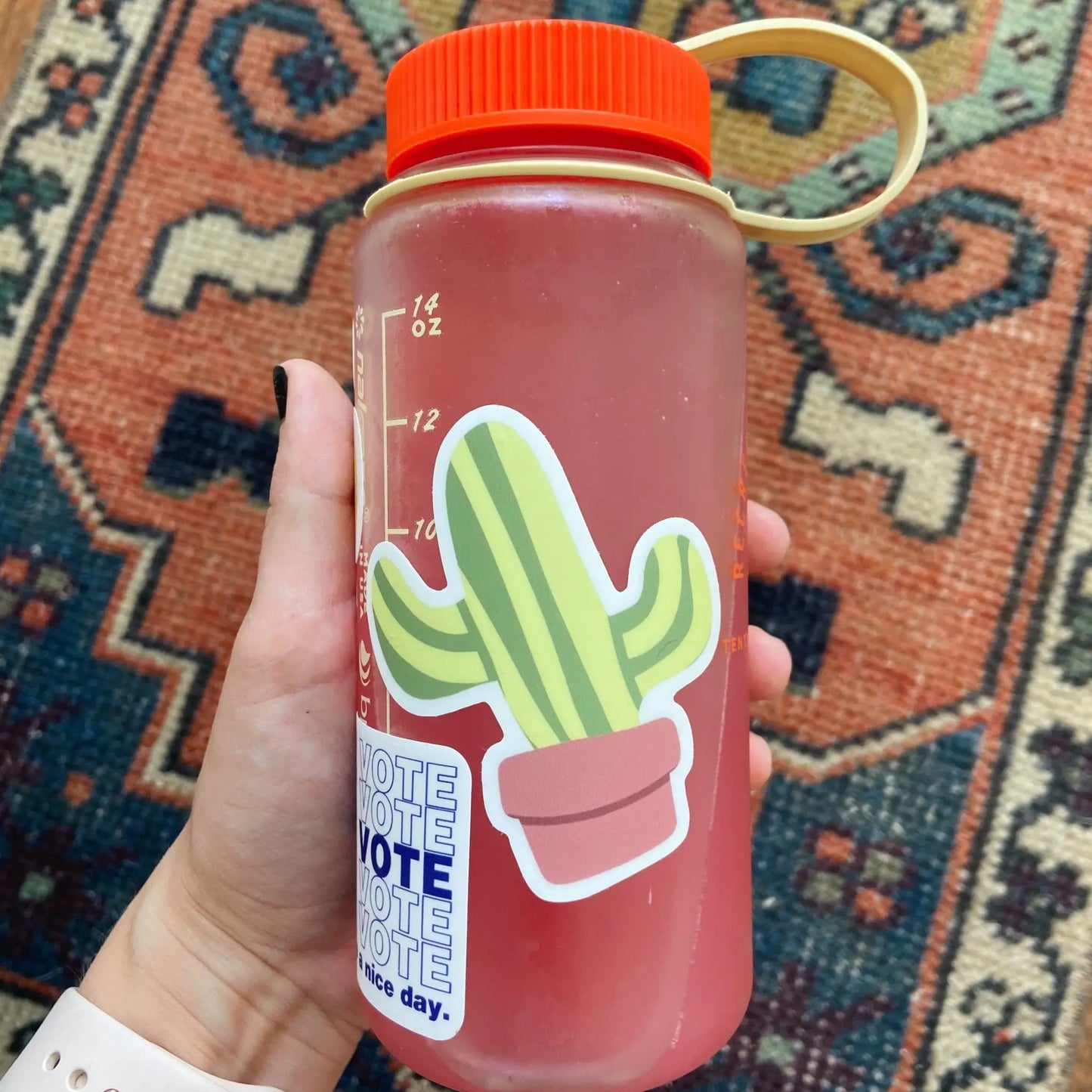 Cactus sticker - Sticker