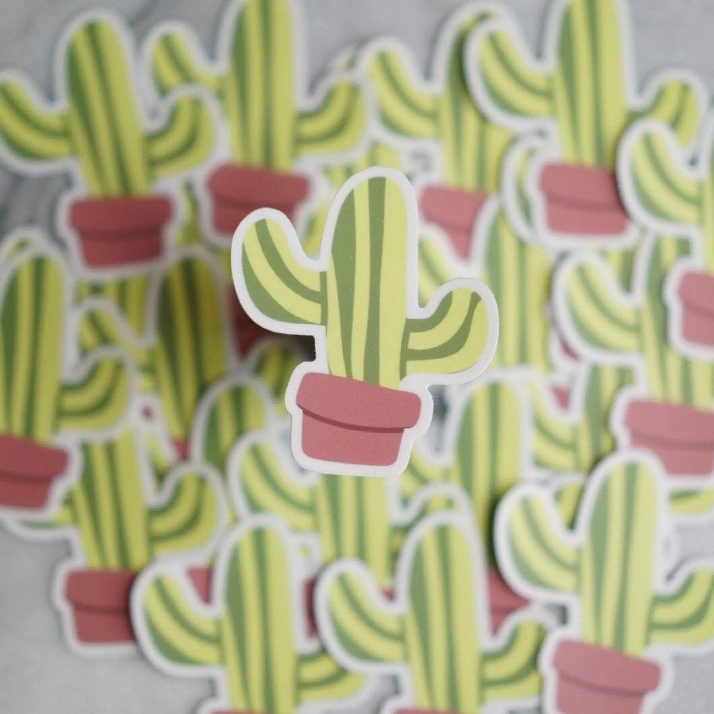 Cactus sticker - Sticker