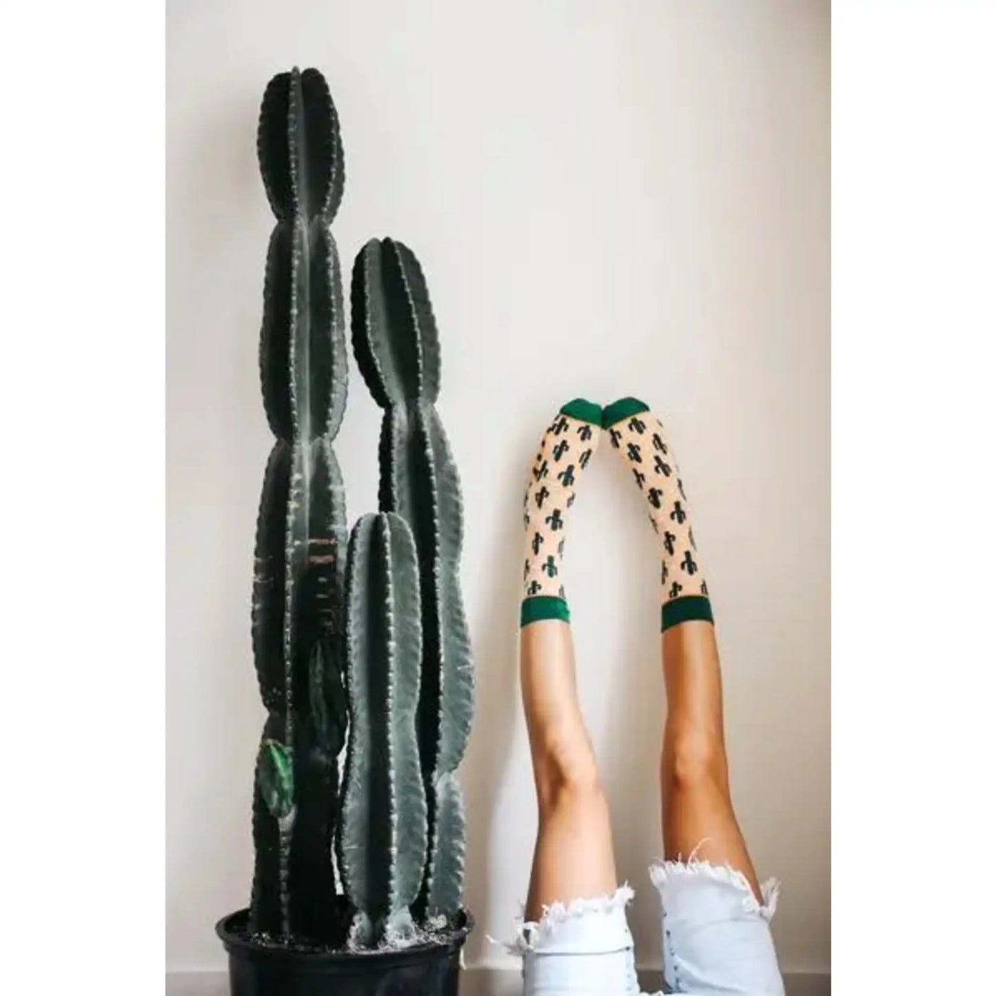 Cactuses - socks - Socks