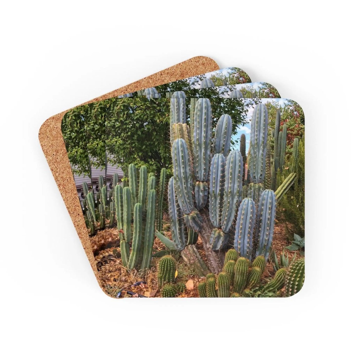 Coaster - BBG 48.1540 and Eileen