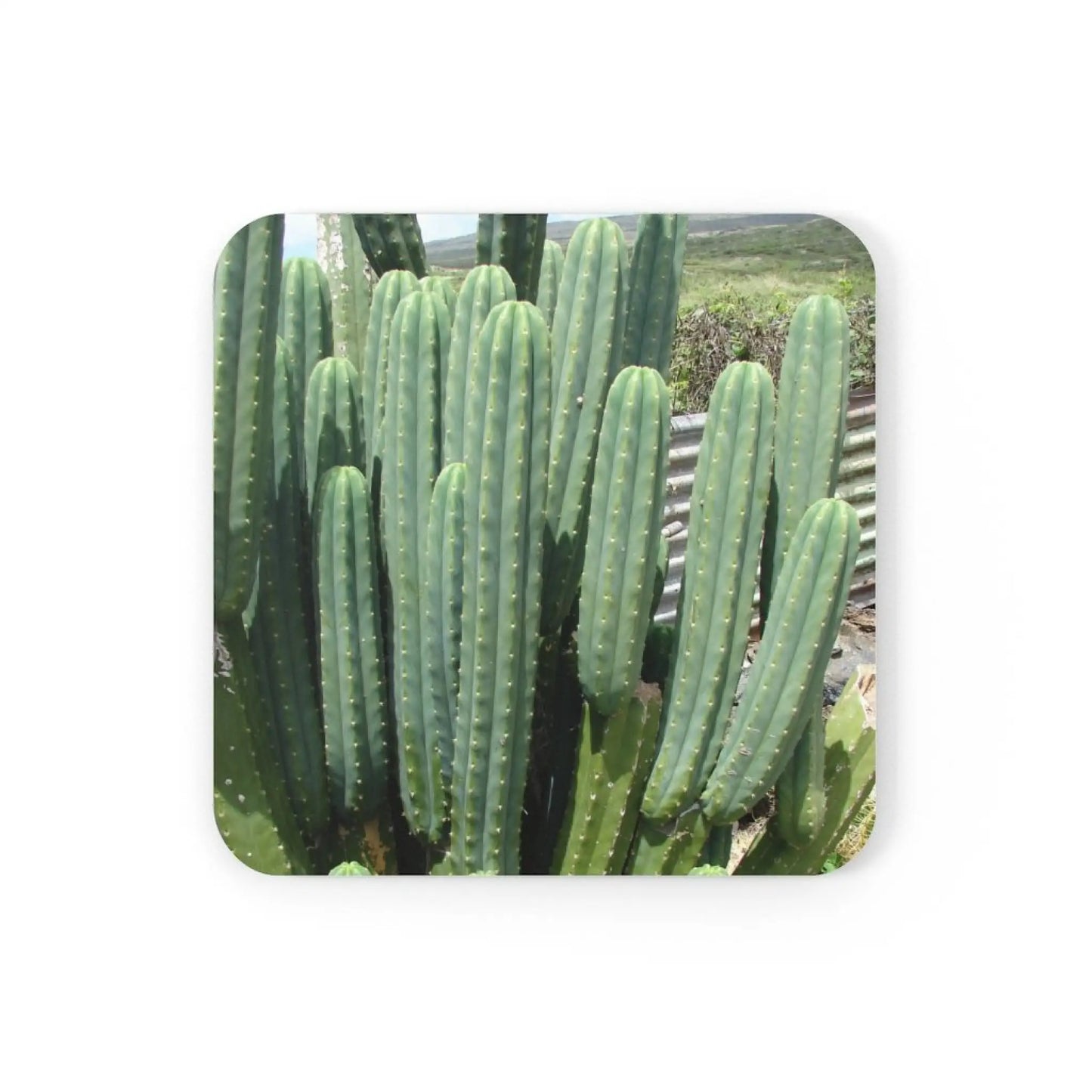 Coaster - PC - Single