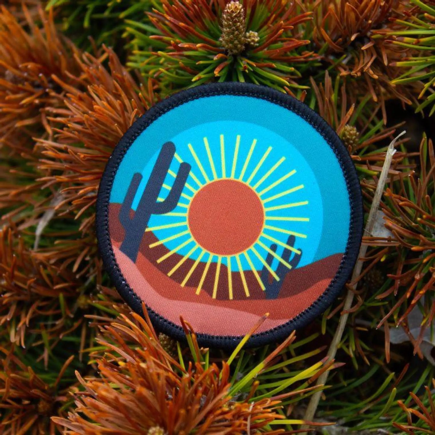 Desert Cactus patch - Patch