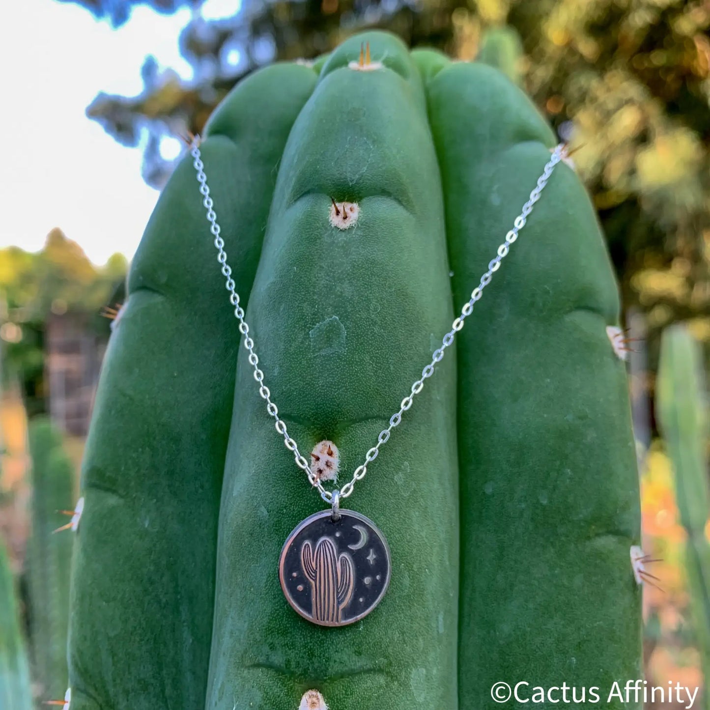 Desert Night Round Necklace - Jewelry