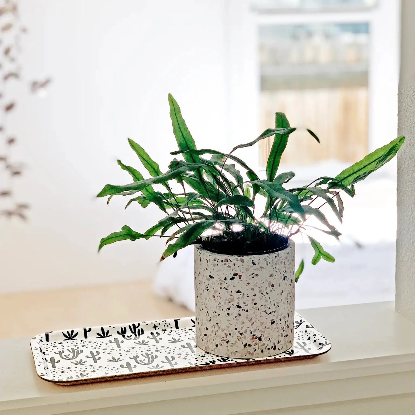 Desert Stars Swedish Birch Tray - Kitchen