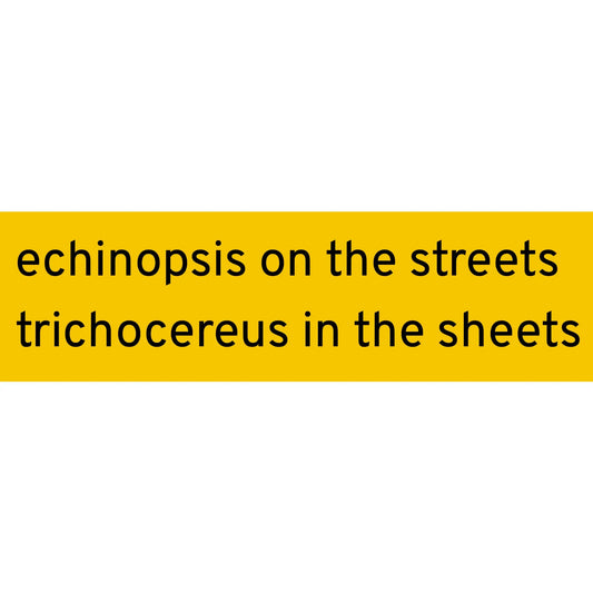 Echinopsis on the Streets sticker - Sticker