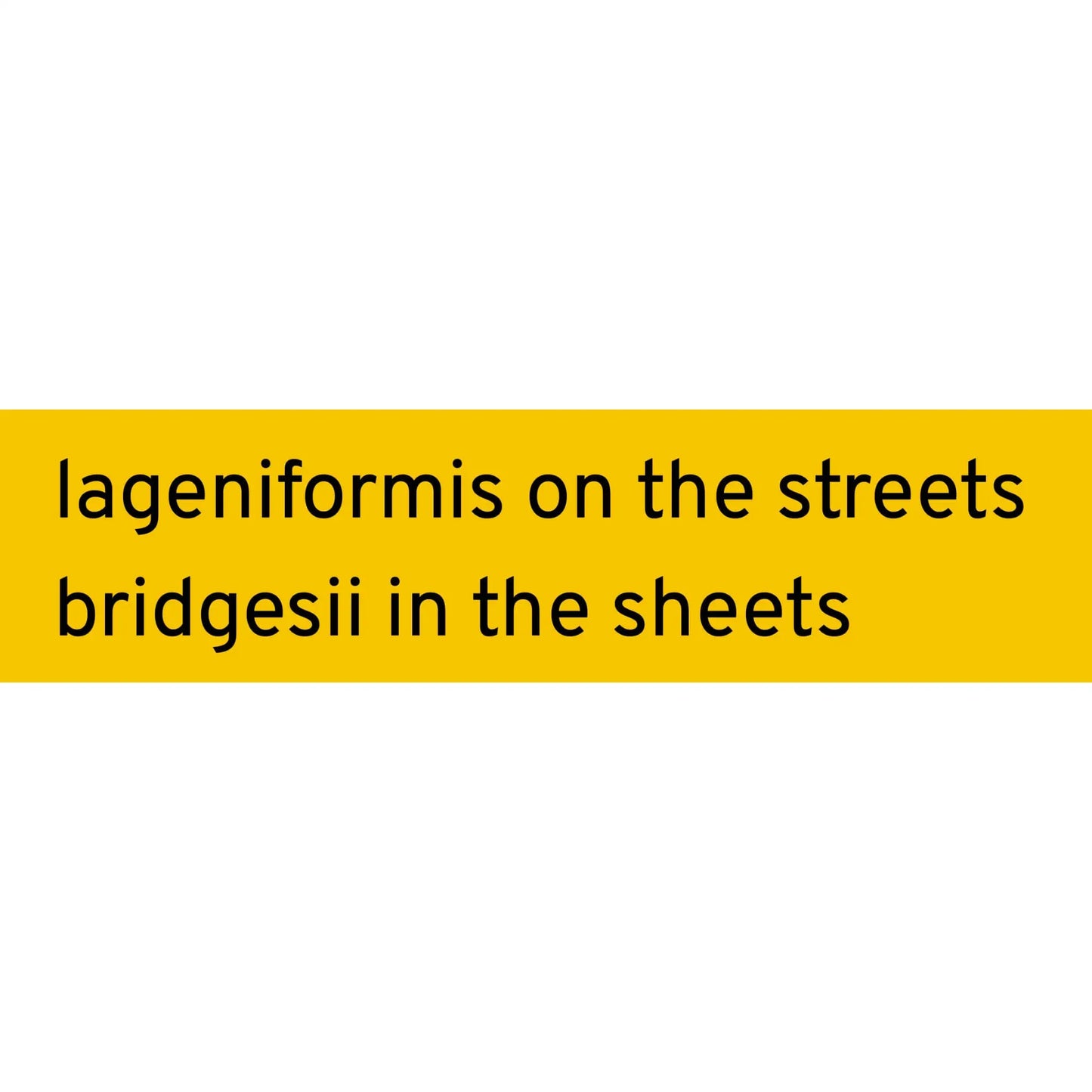 Lageniformis on the Streets sticker - Sticker