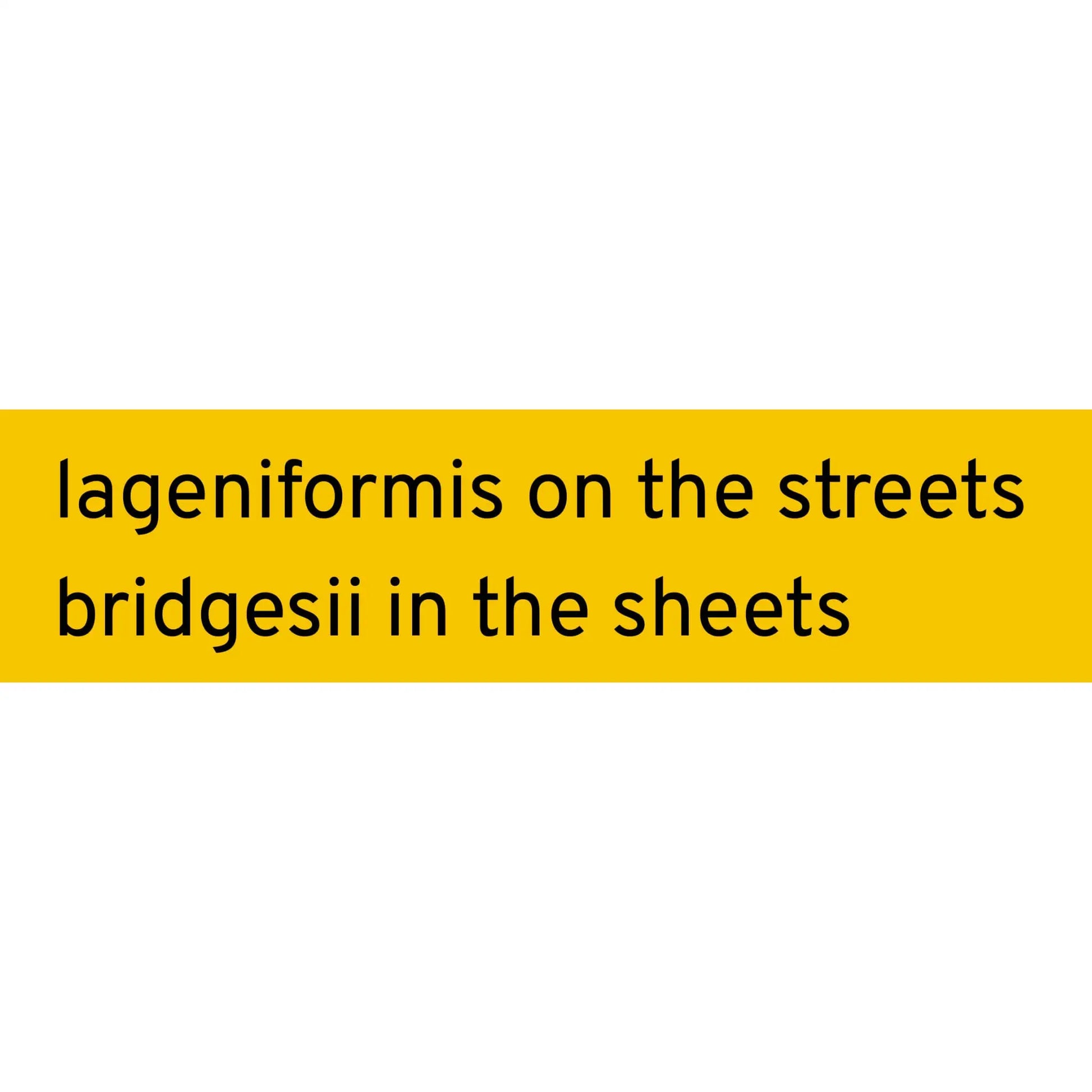 Lageniformis on the Streets sticker - Sticker