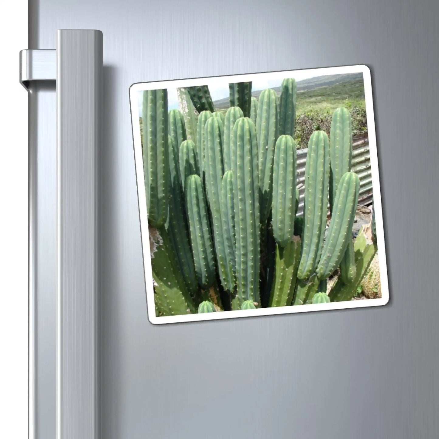 PC magnet - Magnet
