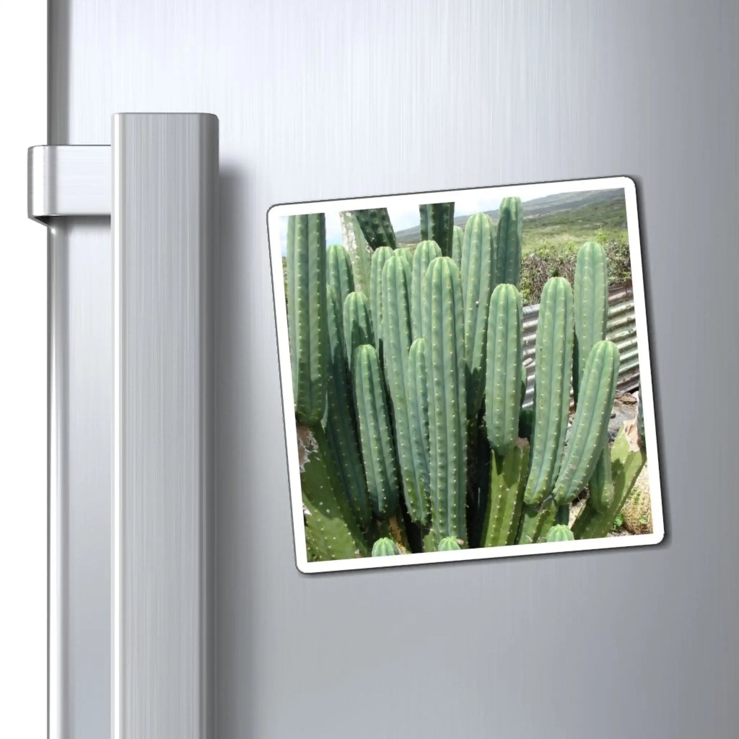 PC magnet - Magnet