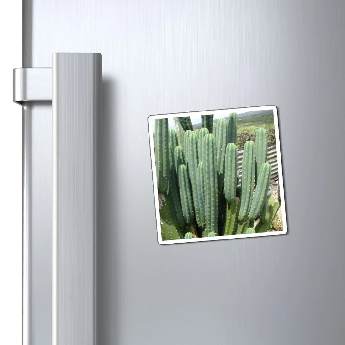 PC magnet - Magnet
