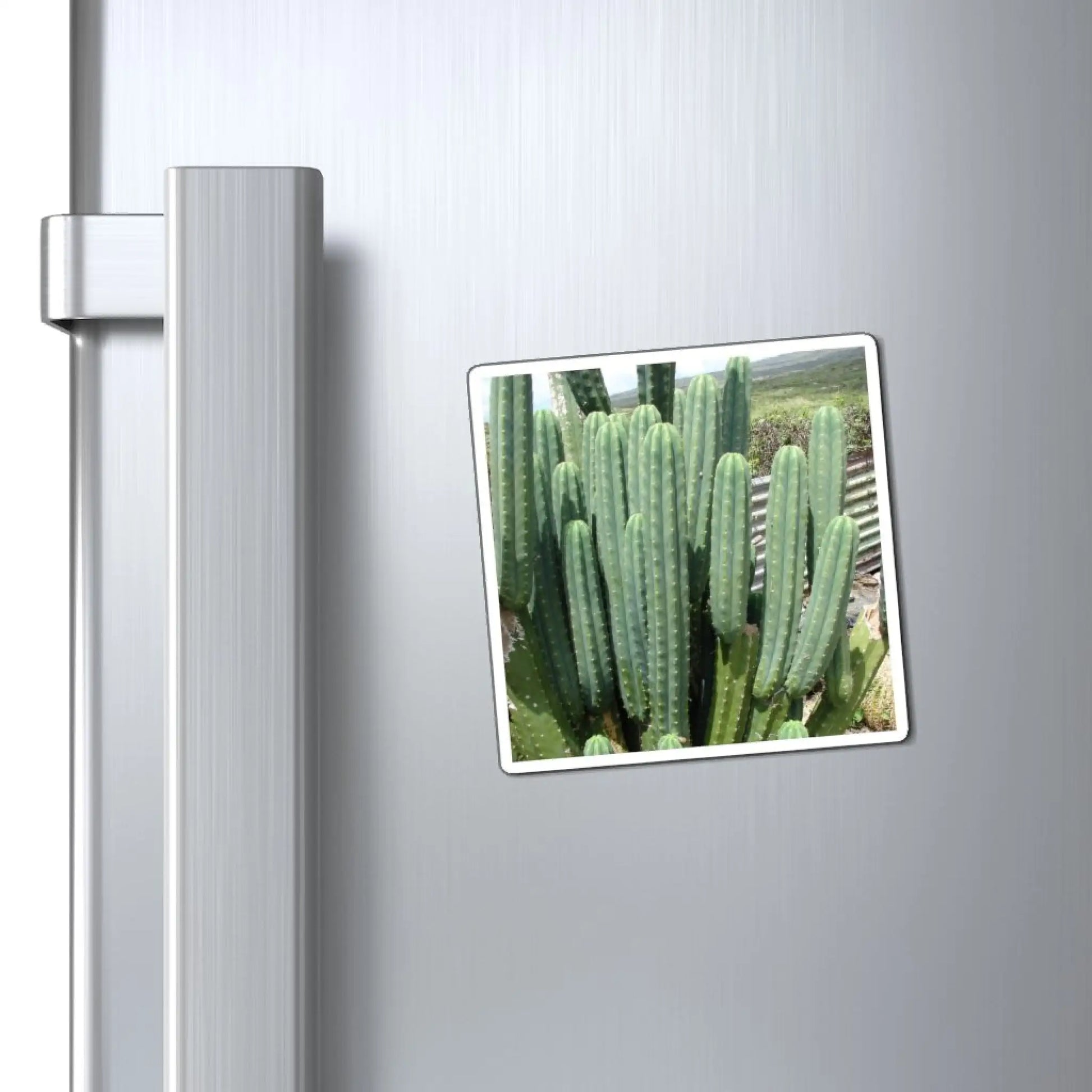 PC magnet - Magnet