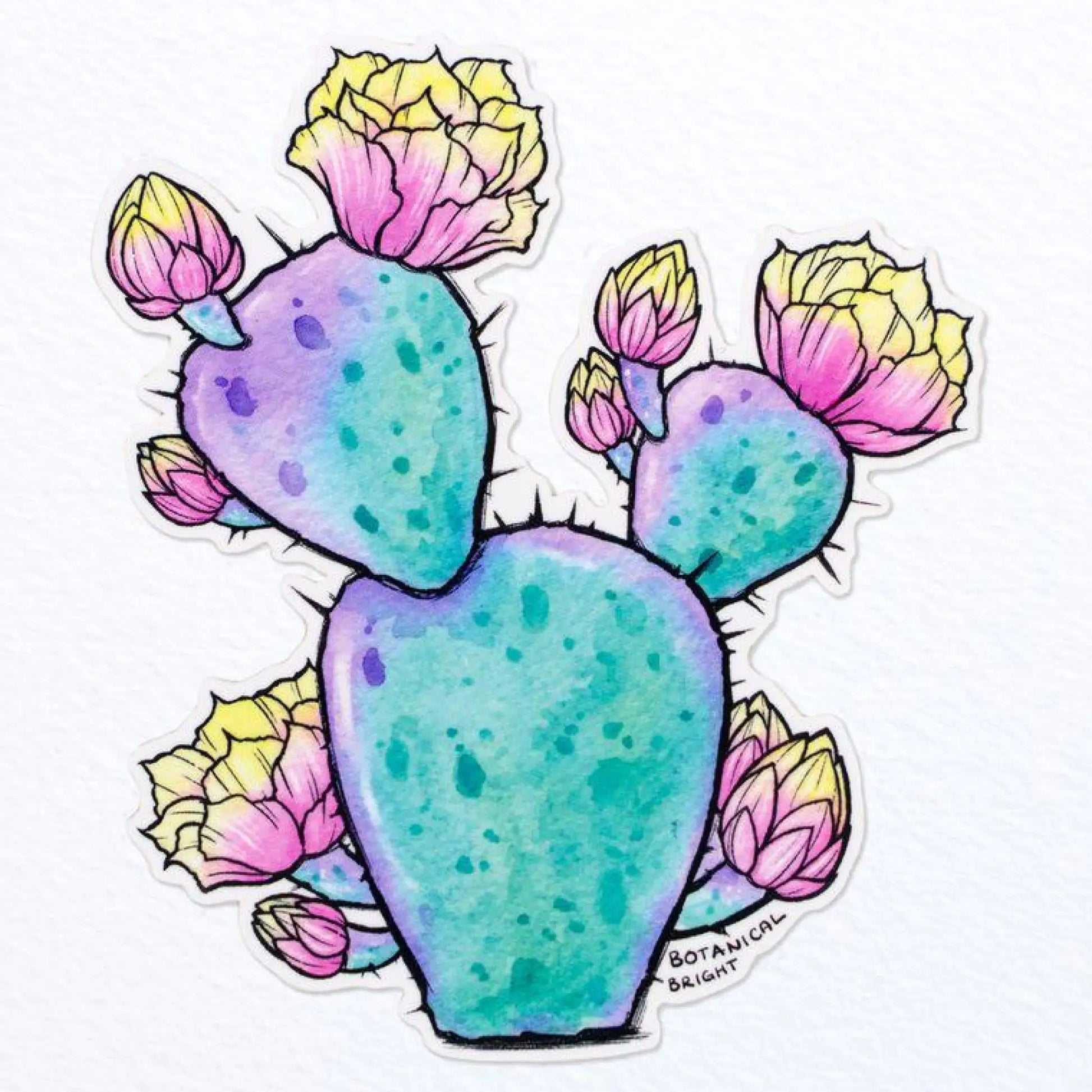 Opuntia Blooming Cactus sticker - Sticker