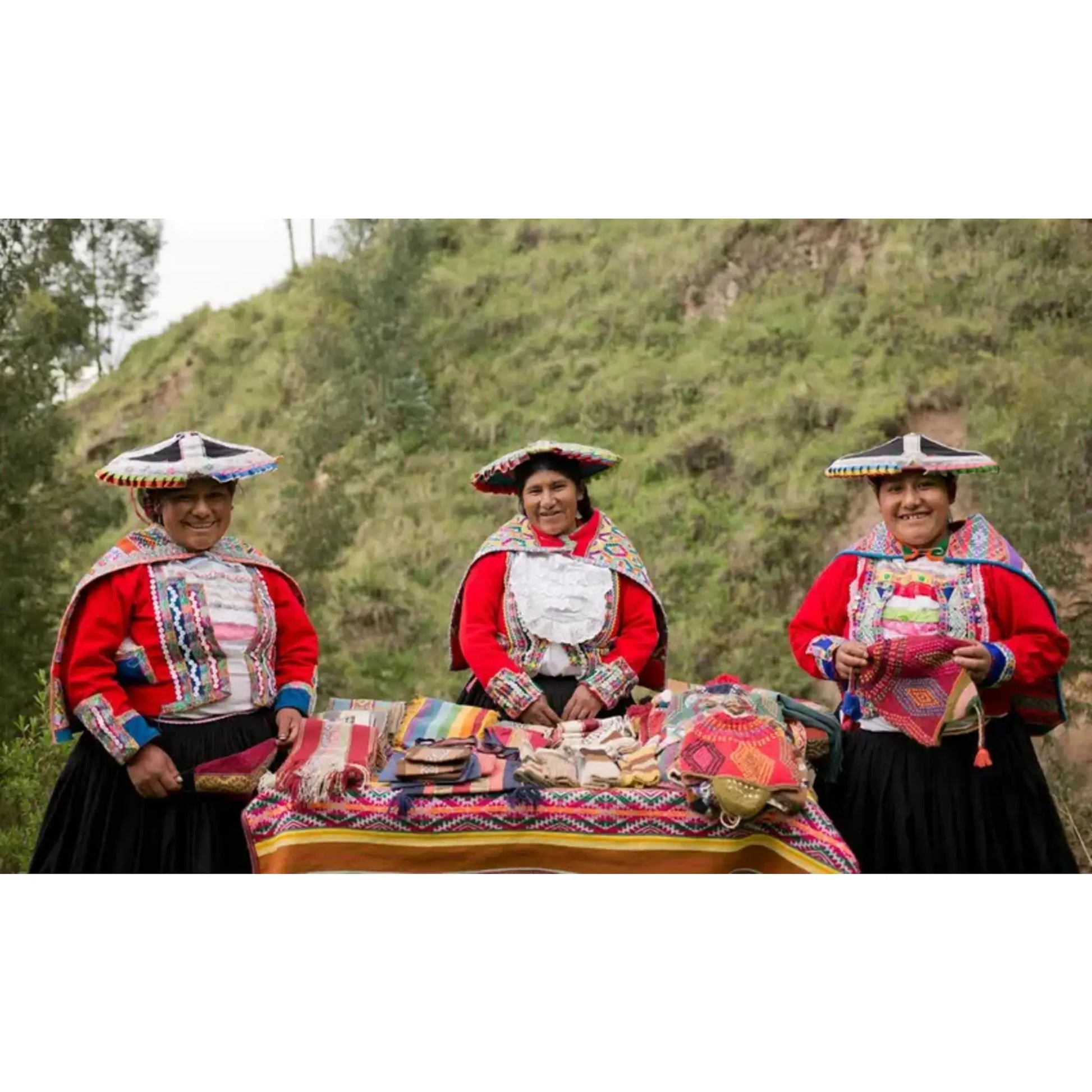 Peruvian Rainbow - hand-loomed wool clutch - Bag