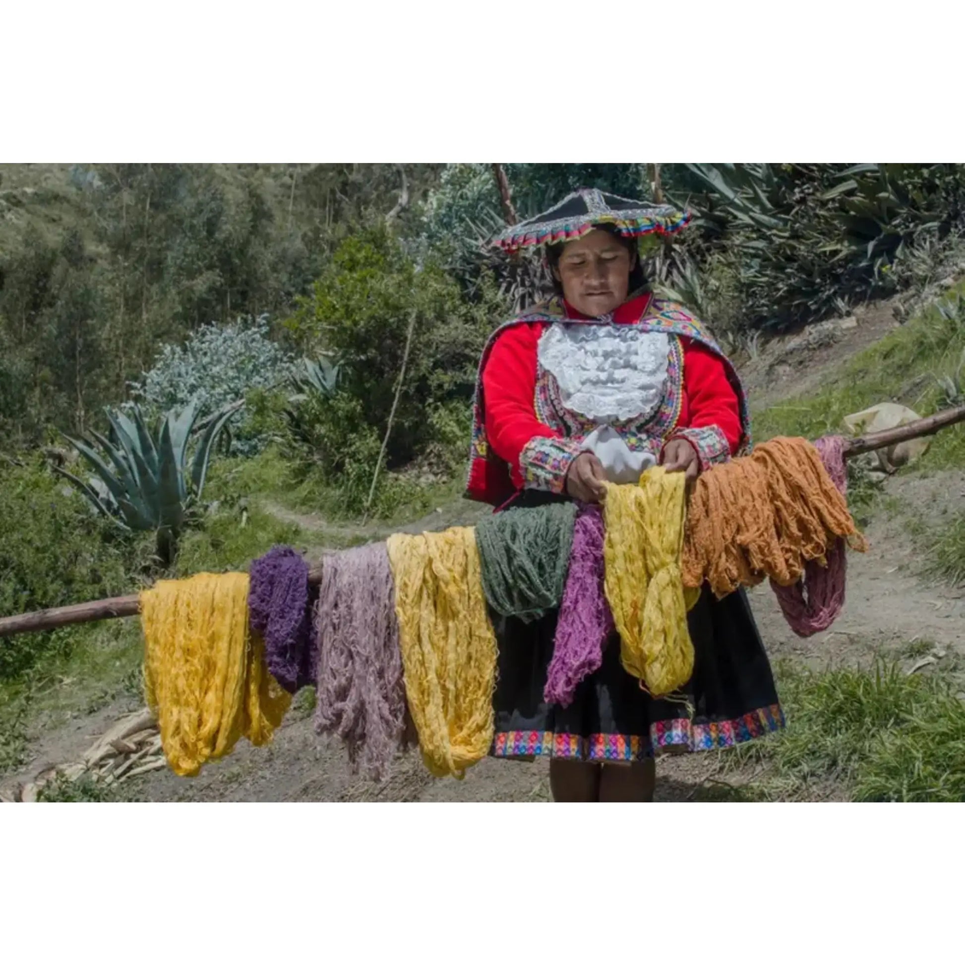 Peruvian Rainbow - hand-loomed wool clutch - Bag