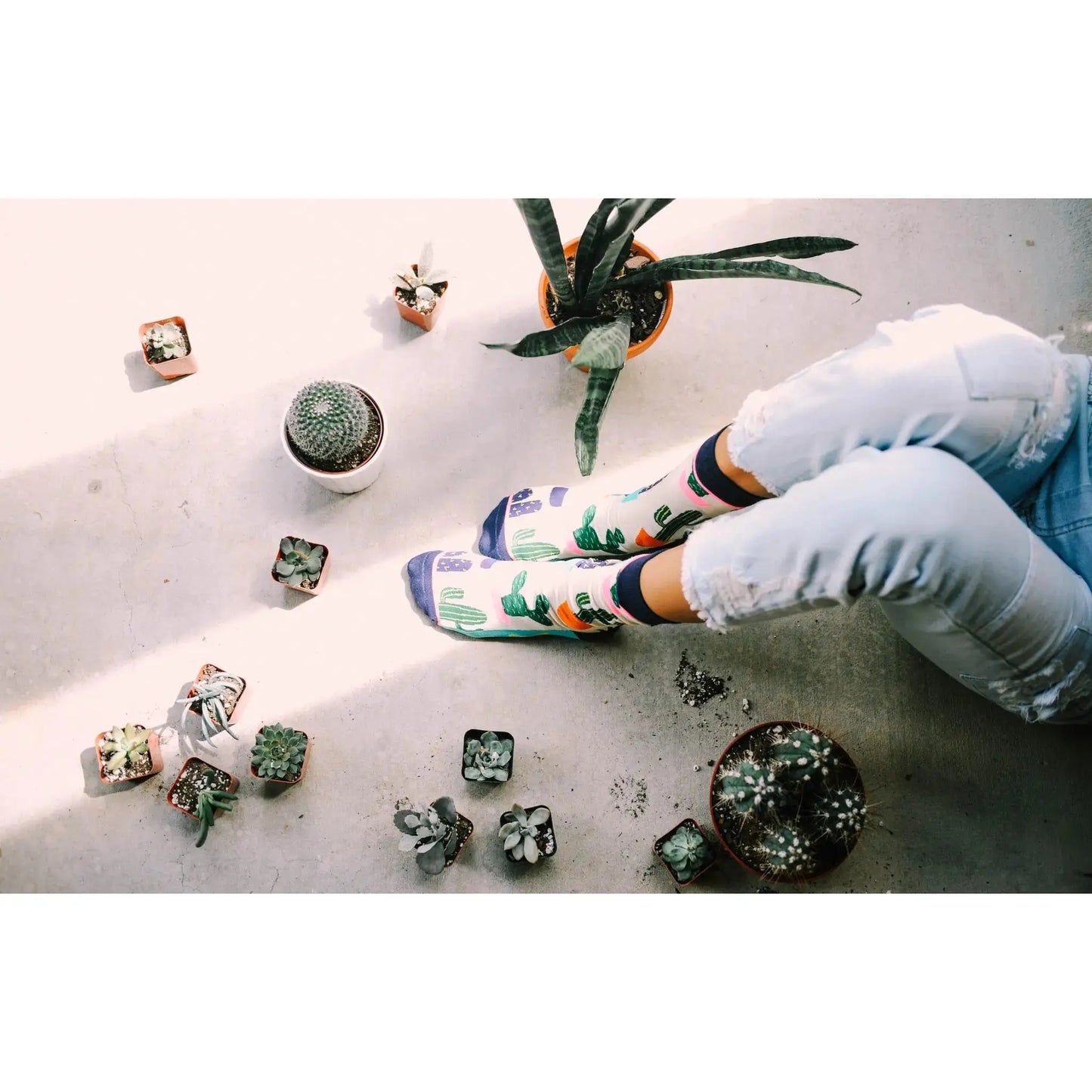 Prickly Pear - socks - Socks