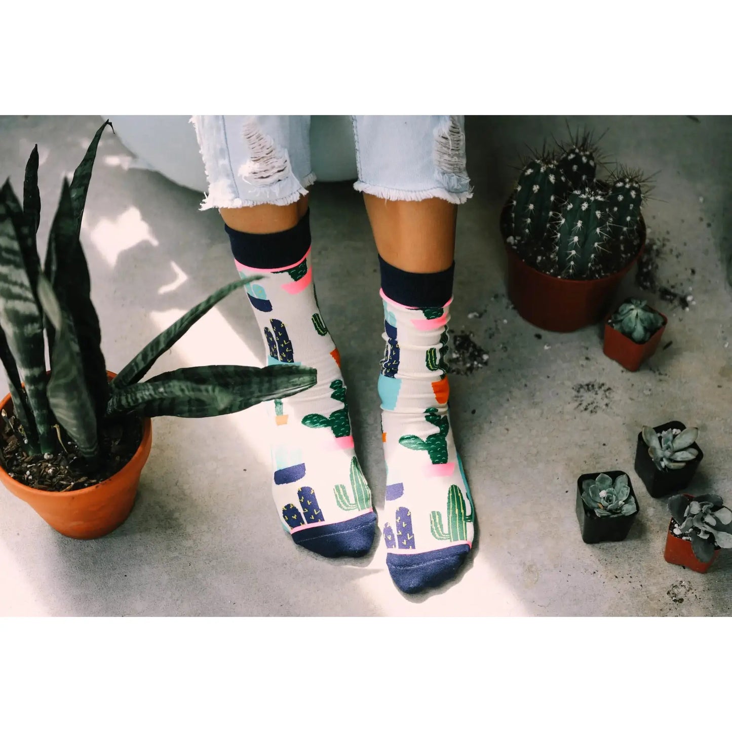 Prickly Pear - socks - Socks
