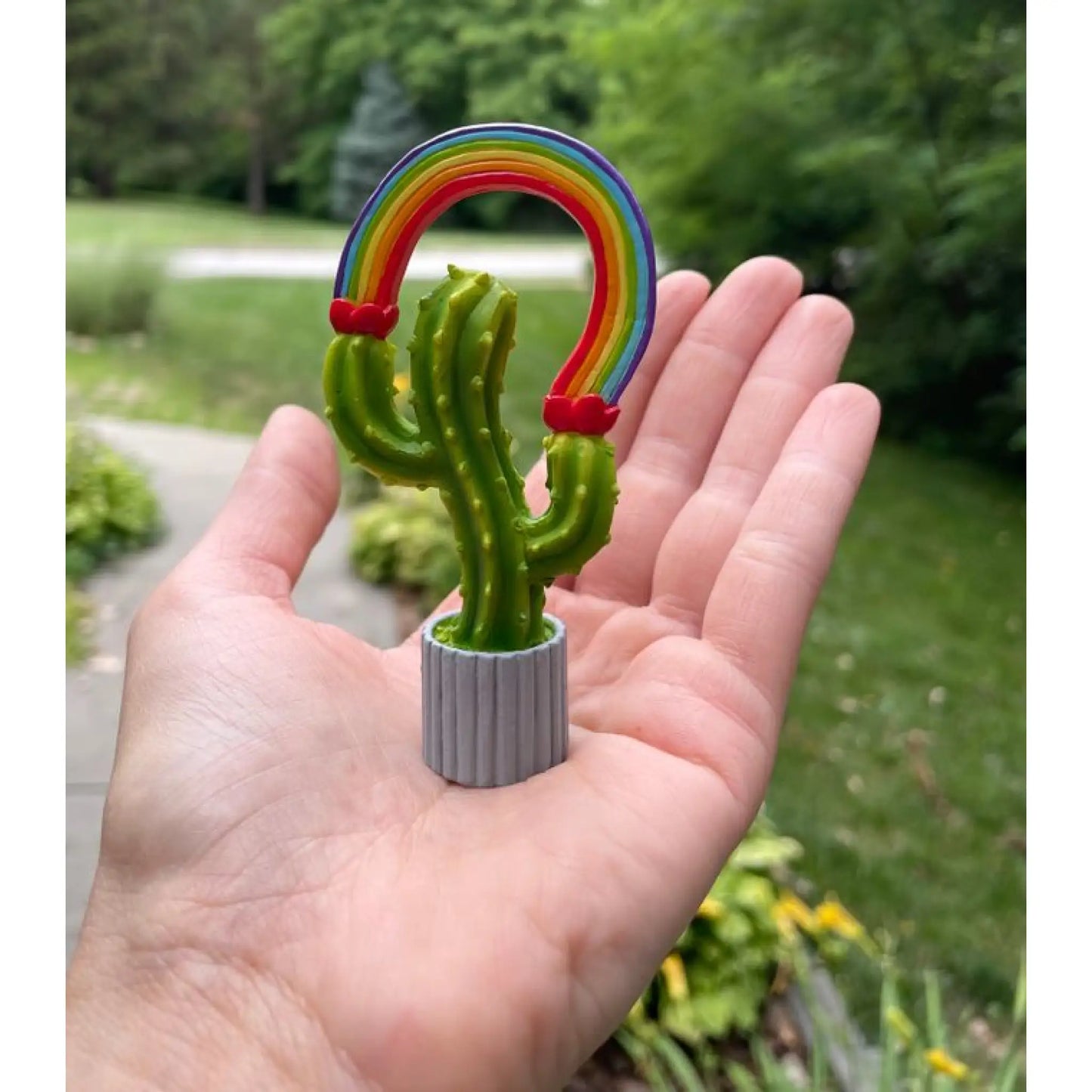 Rainbow Cactus