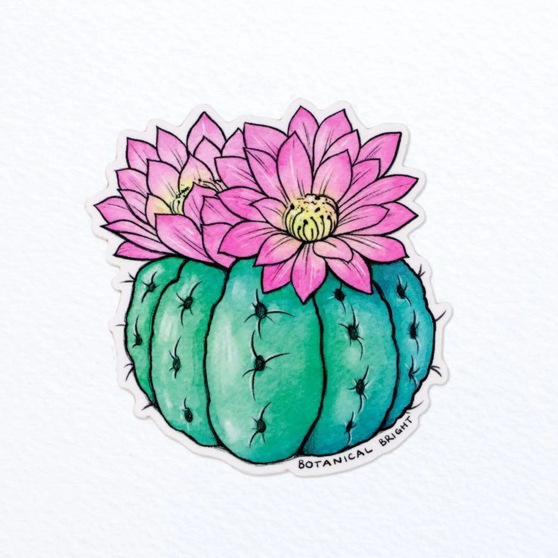 Round Blooming Cactus sticker - Sticker