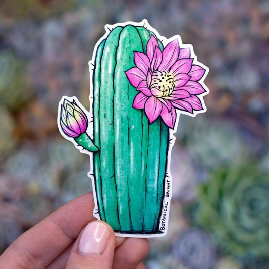 Tall Blooming Cactus sticker - Sticker