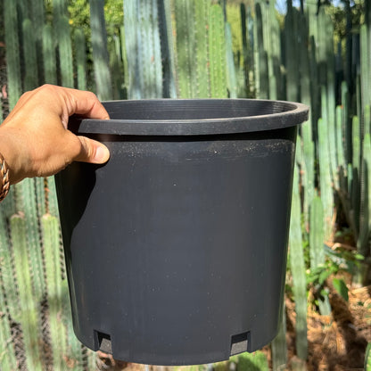 empty pots - local pickup
