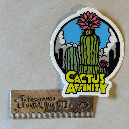 Shulgin’s Ecuadorian