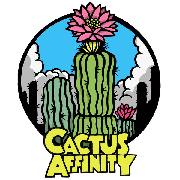 Cactus Affinity - Peruvian Rainbow - Handloomed Multicolored