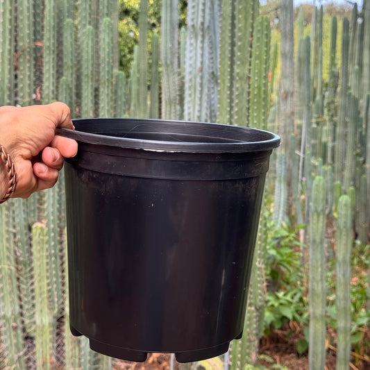 empty pots - local pickup