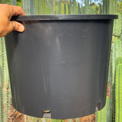 empty pots - local pickup