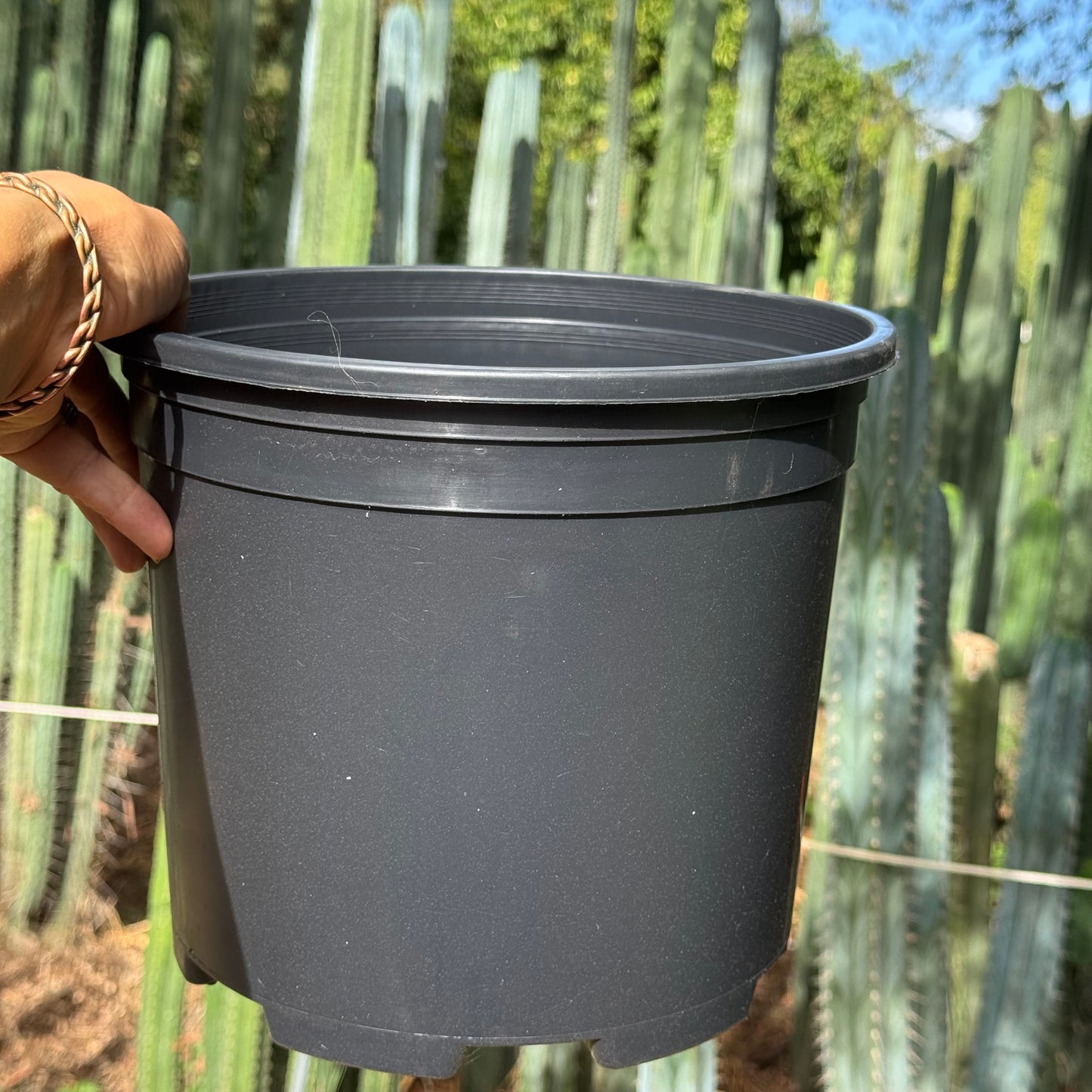 empty pots - local pickup