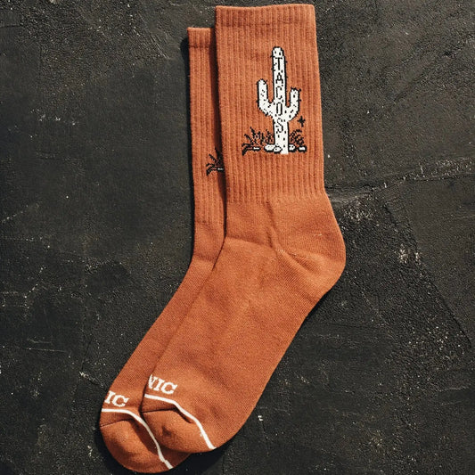 Cactus Taco socks - Socks