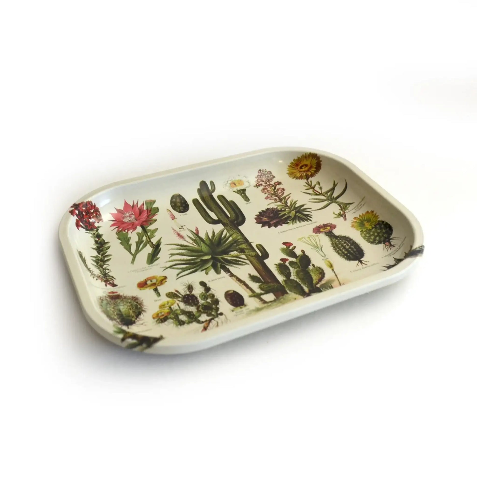 Metal Cactus Ritual Tray / Vintage Cacti Print - Kitchen