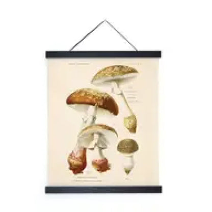 Vintage Blusher Mushroom Print w/ optional frame - 8x10