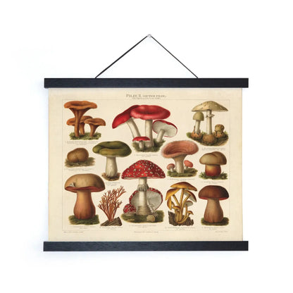 Vintage German Mushroom Pilze 2 Print w/ Optional Frame