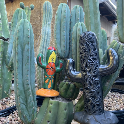 Barro Negro Floral Cactus - Art