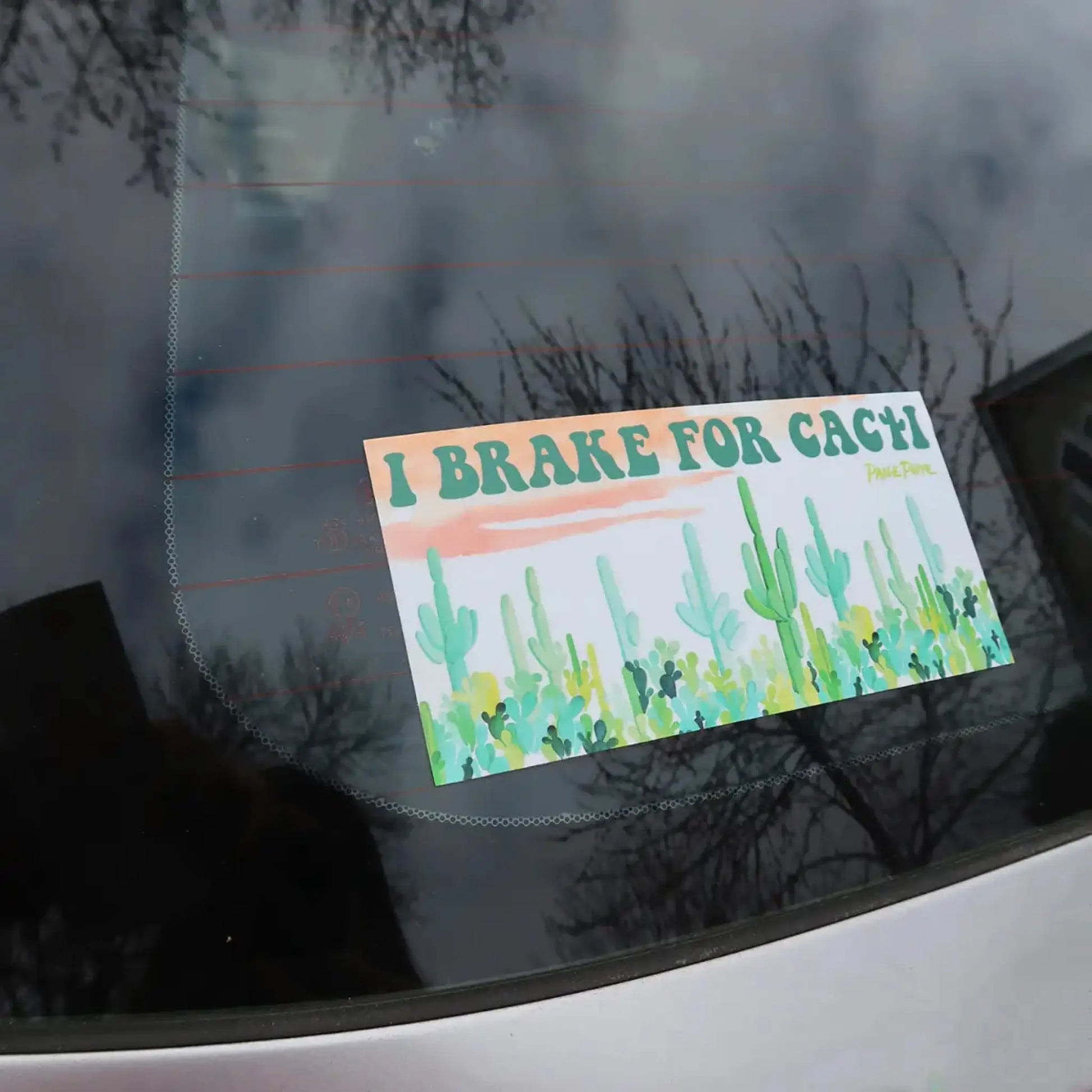I Brake for Cacti bumper sticker - Sticker