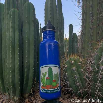 Cactus Affinity Gang sticker - Sticker