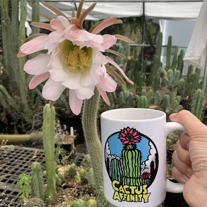 Mug - Cactus Affinity Logo